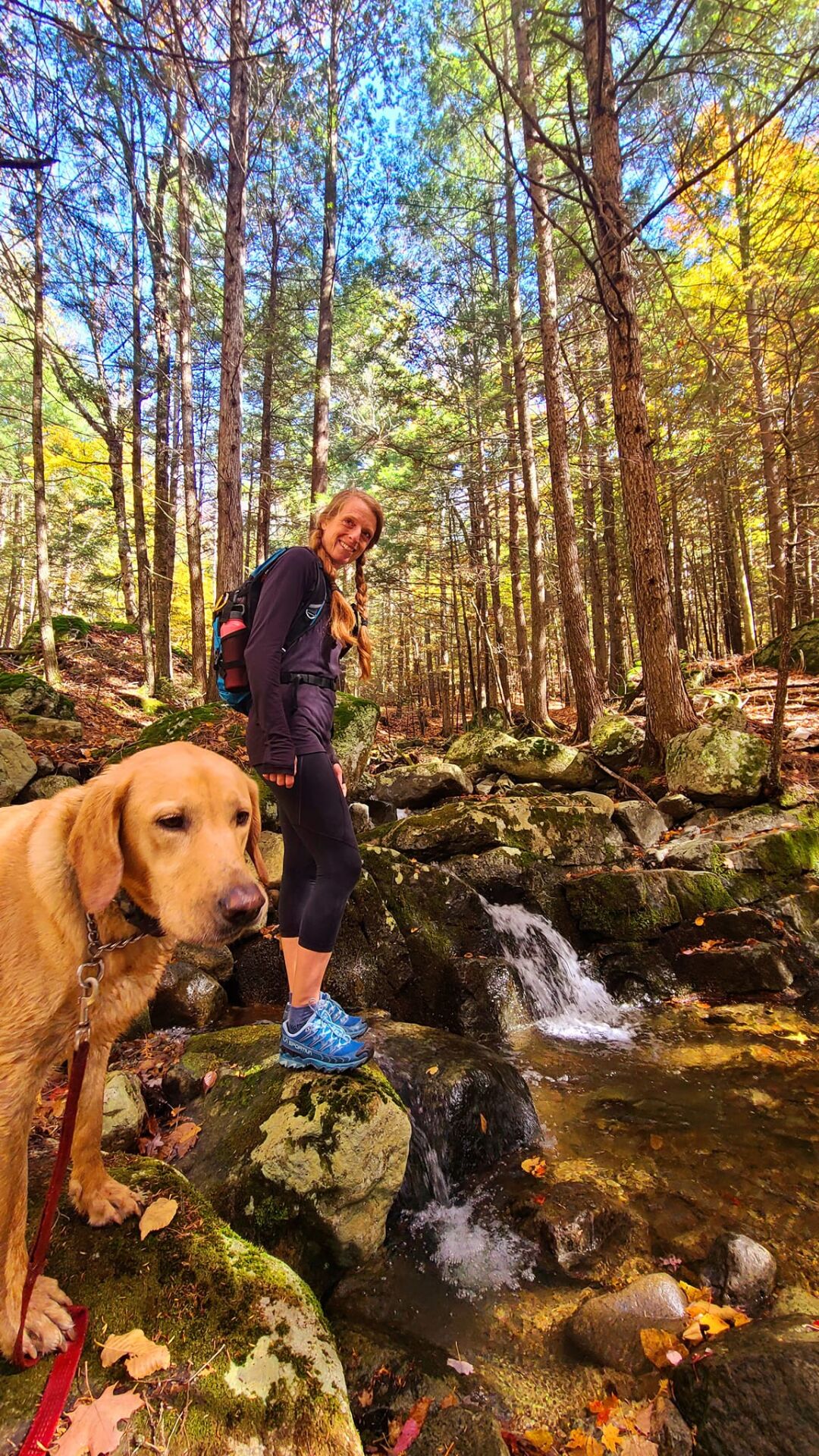 mossy cascade.jpg